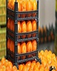 ذخیره‌سازی 20 هزار تن میوه شب عید در کشور